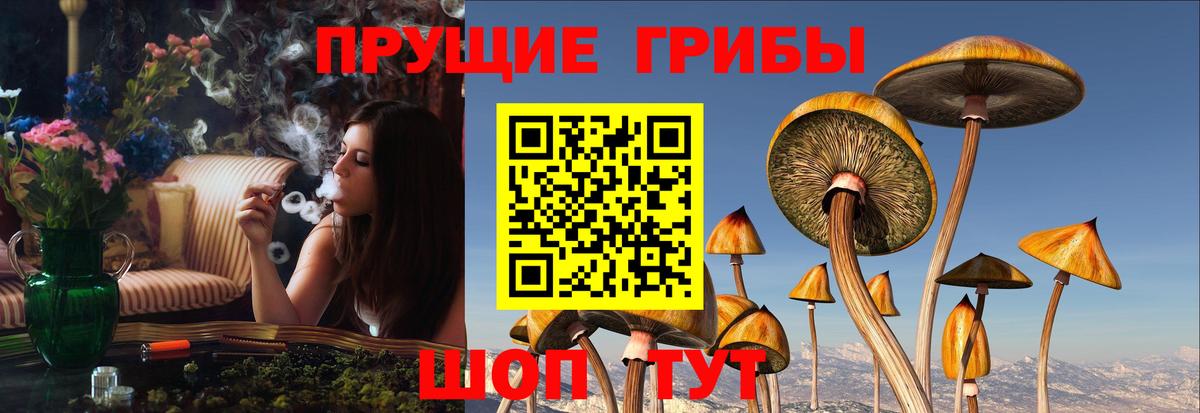 купить наркотики сайты  Галлюциногенные грибы мухоморы  Вход с VPN  Менделеевск 