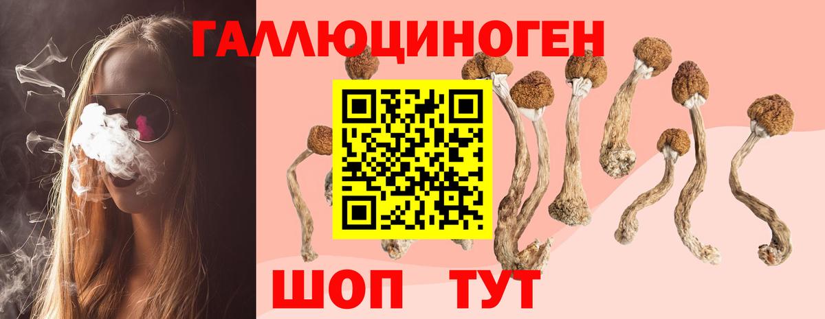 Псилоцибиновые грибы MAGIC MUSHROOMS Менделеевск